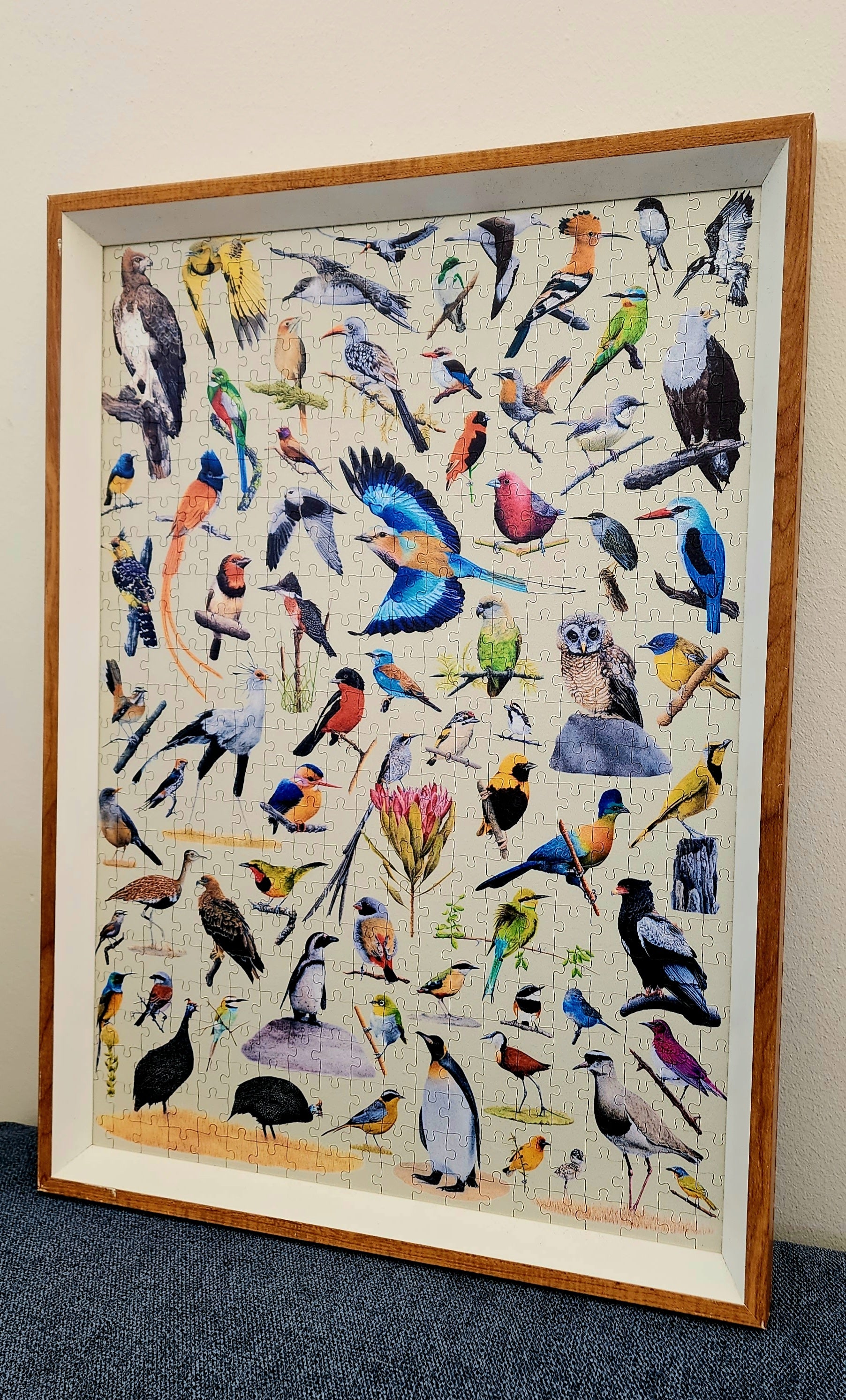 Framed Birds of South Africa wooden puzzle