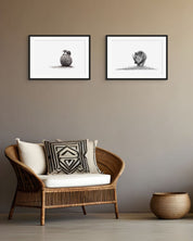 Dung Beetle artwork by Matthew Bell