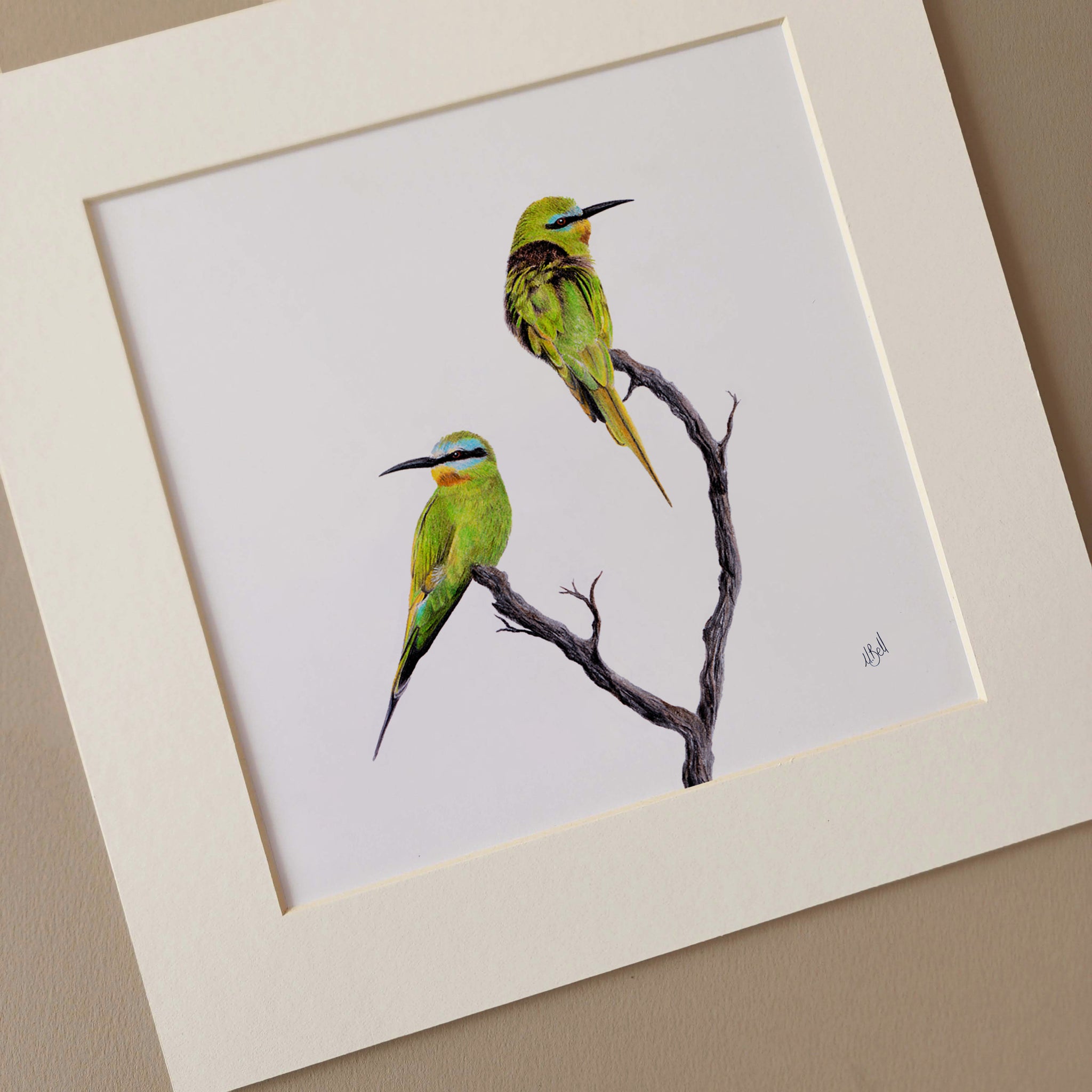 Blue Cheeked Bee Eaters affordable wildlife art in Cape Town