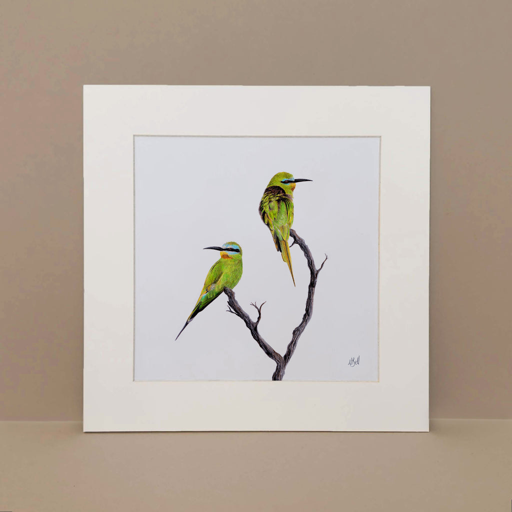 Blue Cheeked Bee Eaters affordable wildlife art in Cape Town