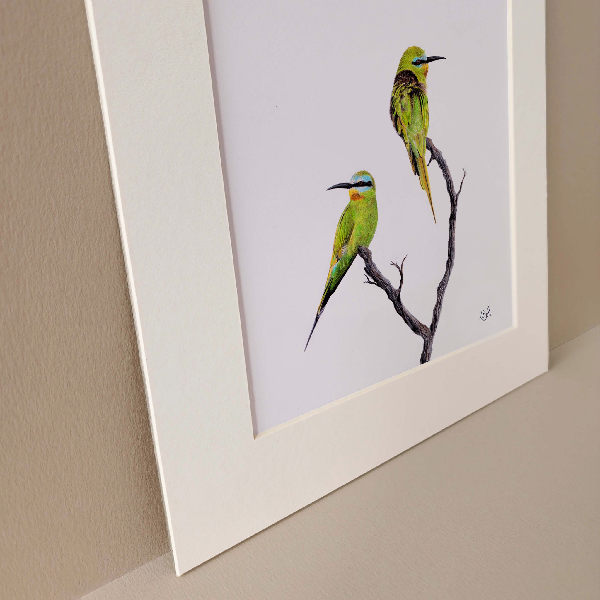 Blue Cheeked Bee Eaters affordable wildlife art in Cape Town