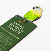 Brown Headed Parrot Wooden Bookmark