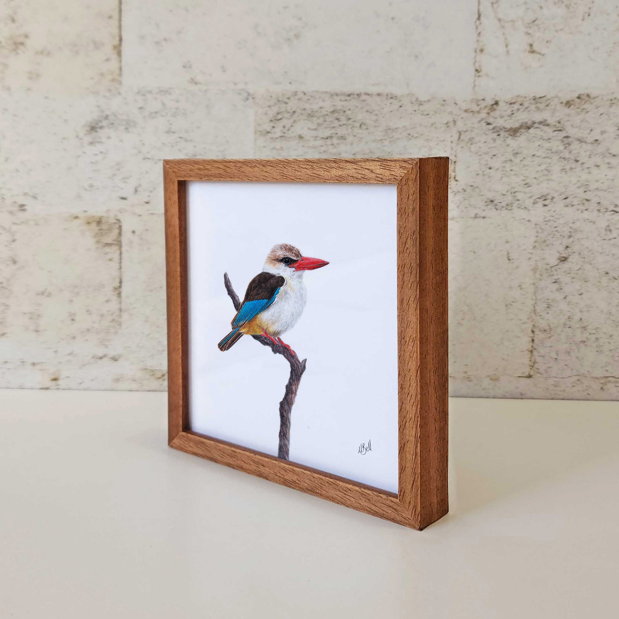 Kiaat wood framed miniature artwork of a Brown Hooded Kingfisher, part of wildlife artist Matthew Bell's birds of South Africa gallery