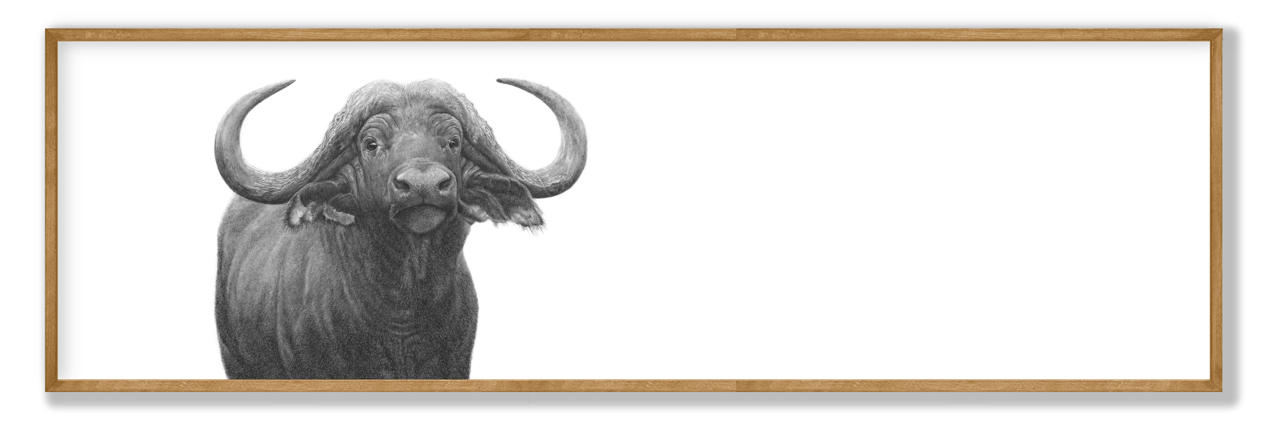 Framed African buffalo wildlife print featuring a detailed panoramic drawing by South African artist Matthew Bell.