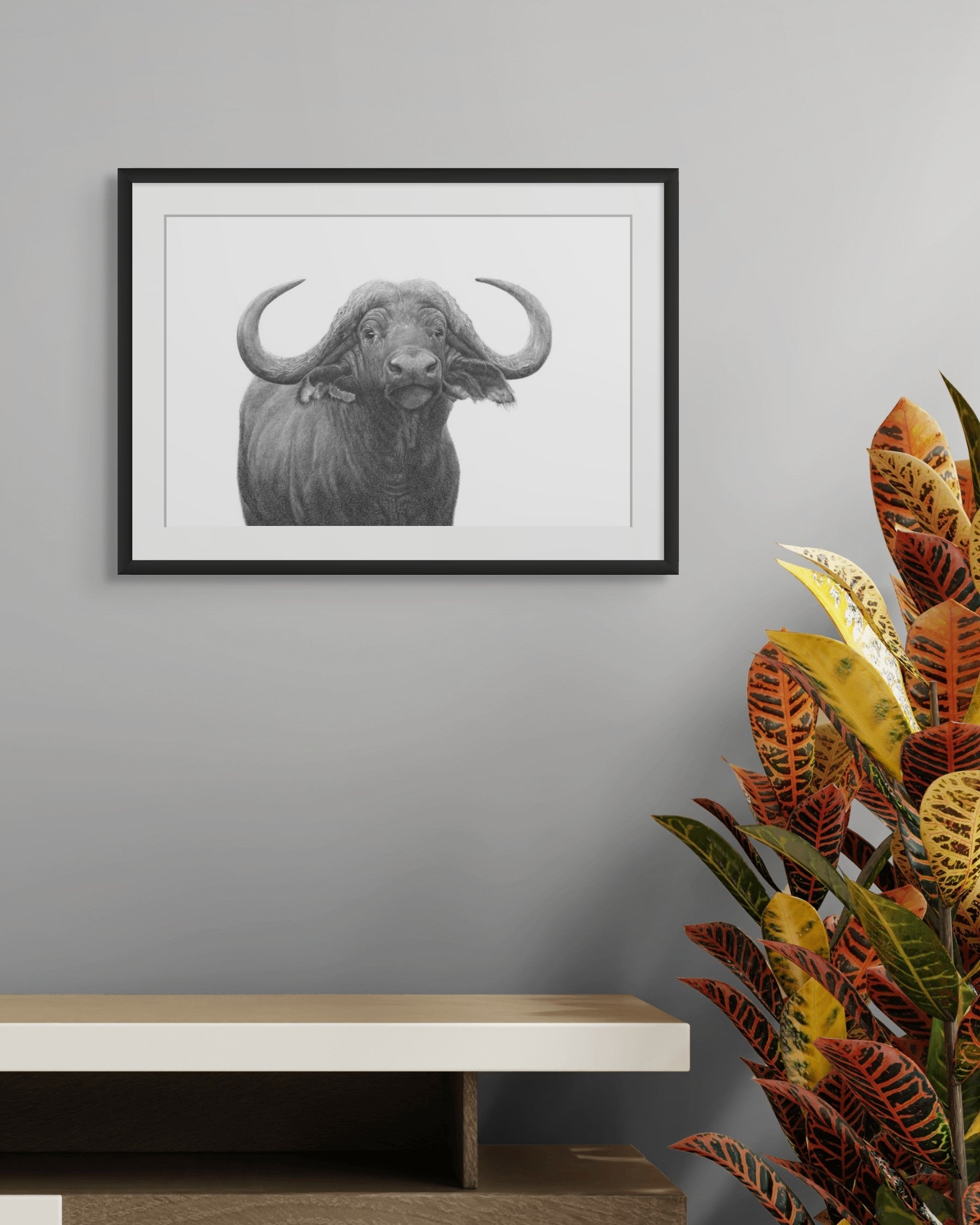 Buffalo Bull African wildlife art drawing by Matthew Bell 