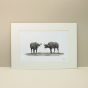 Buffaloes African wildlife artwork by South African pencil artist Matthew Bell