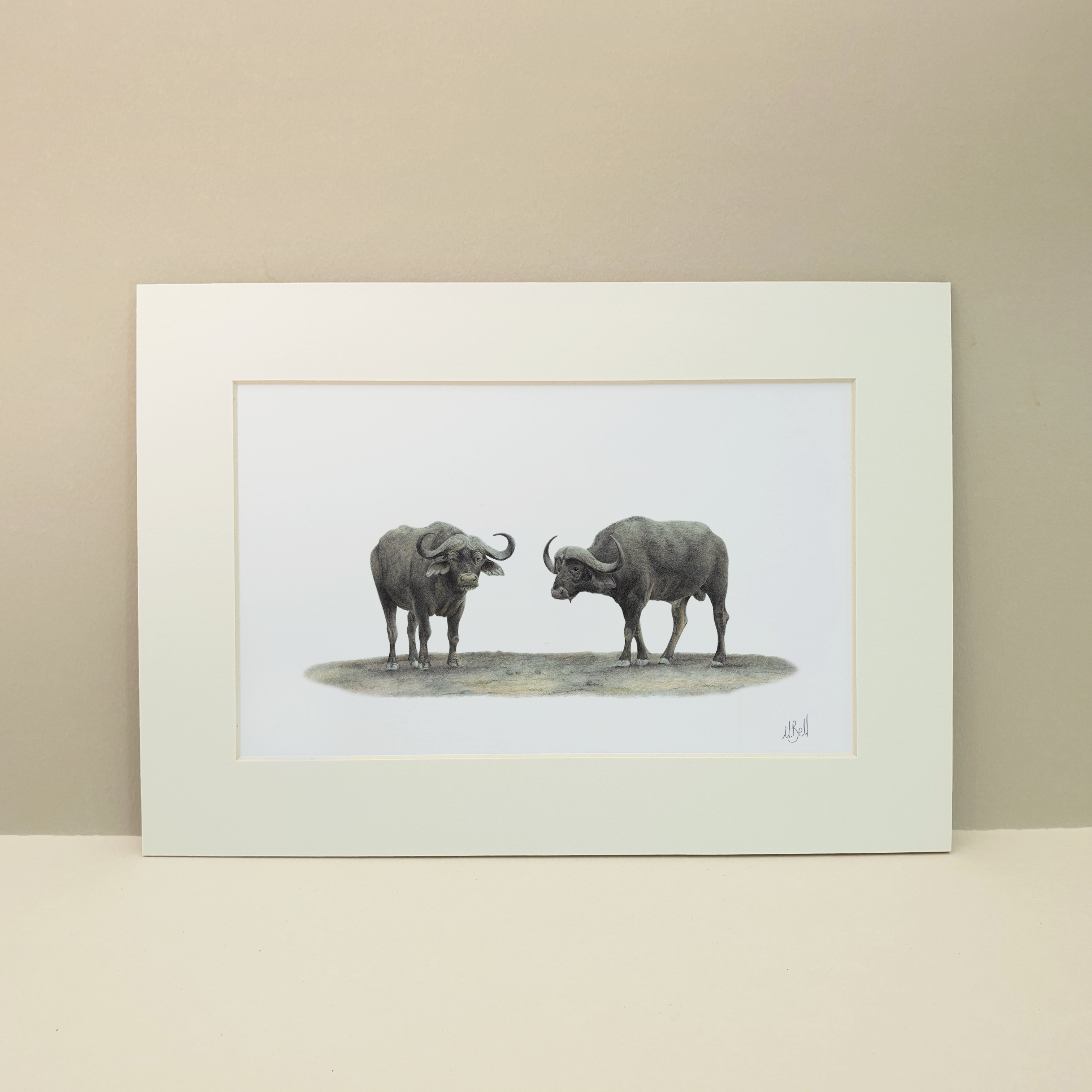 Buffaloes African wildlife artwork by South African pencil artist Matthew Bell