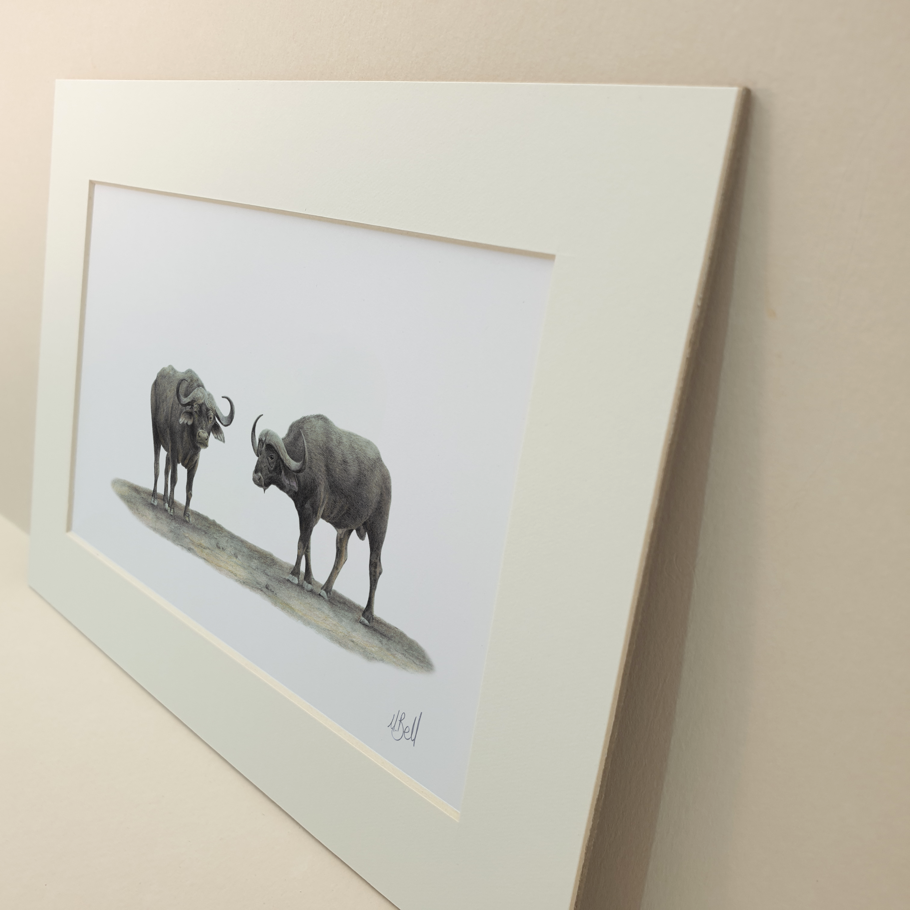 Original buffalo drawing by South African wildlife artist Matthew Bell