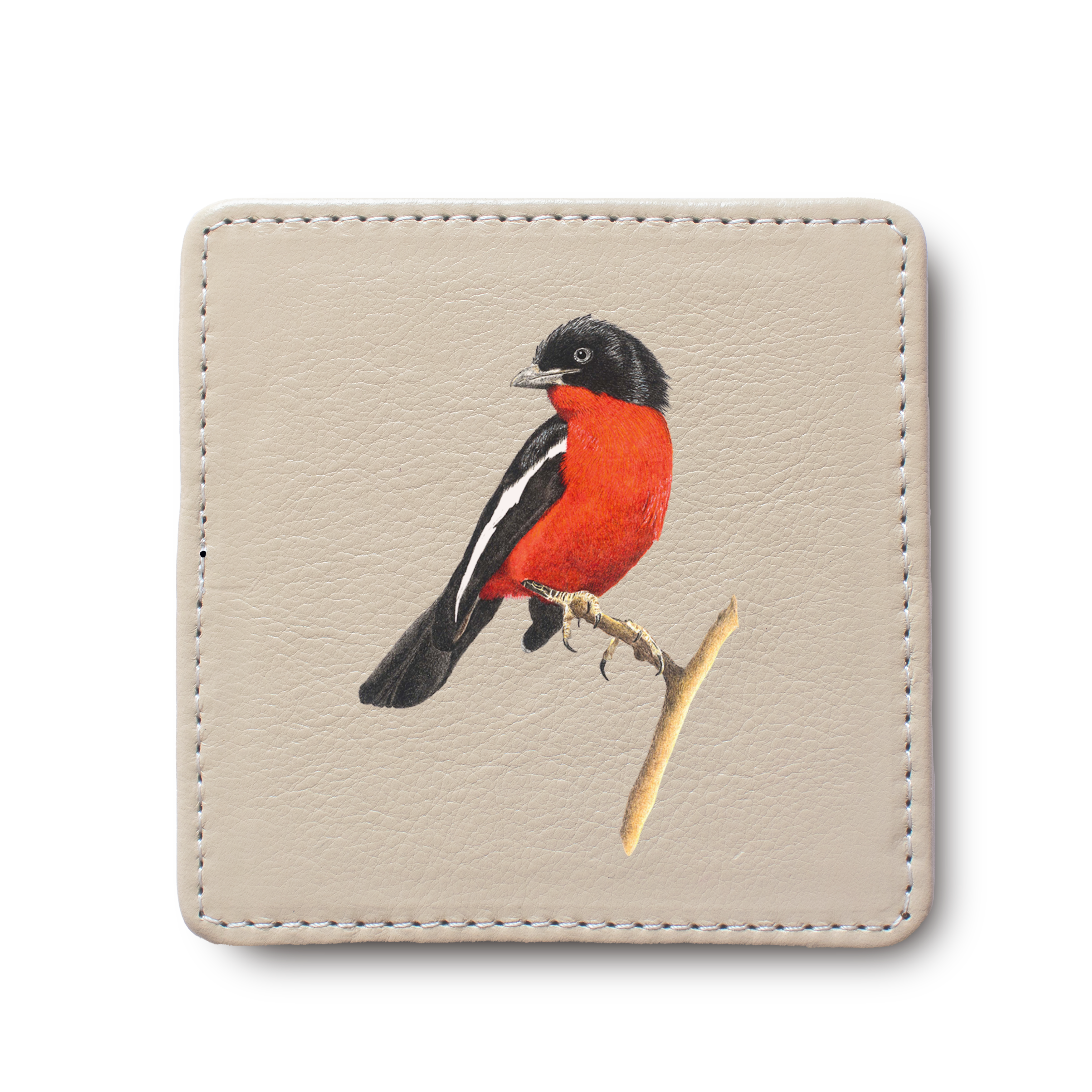 Crimson Breasted Shrike Bird leather coaster by South African wildlife artist Matthew Bell