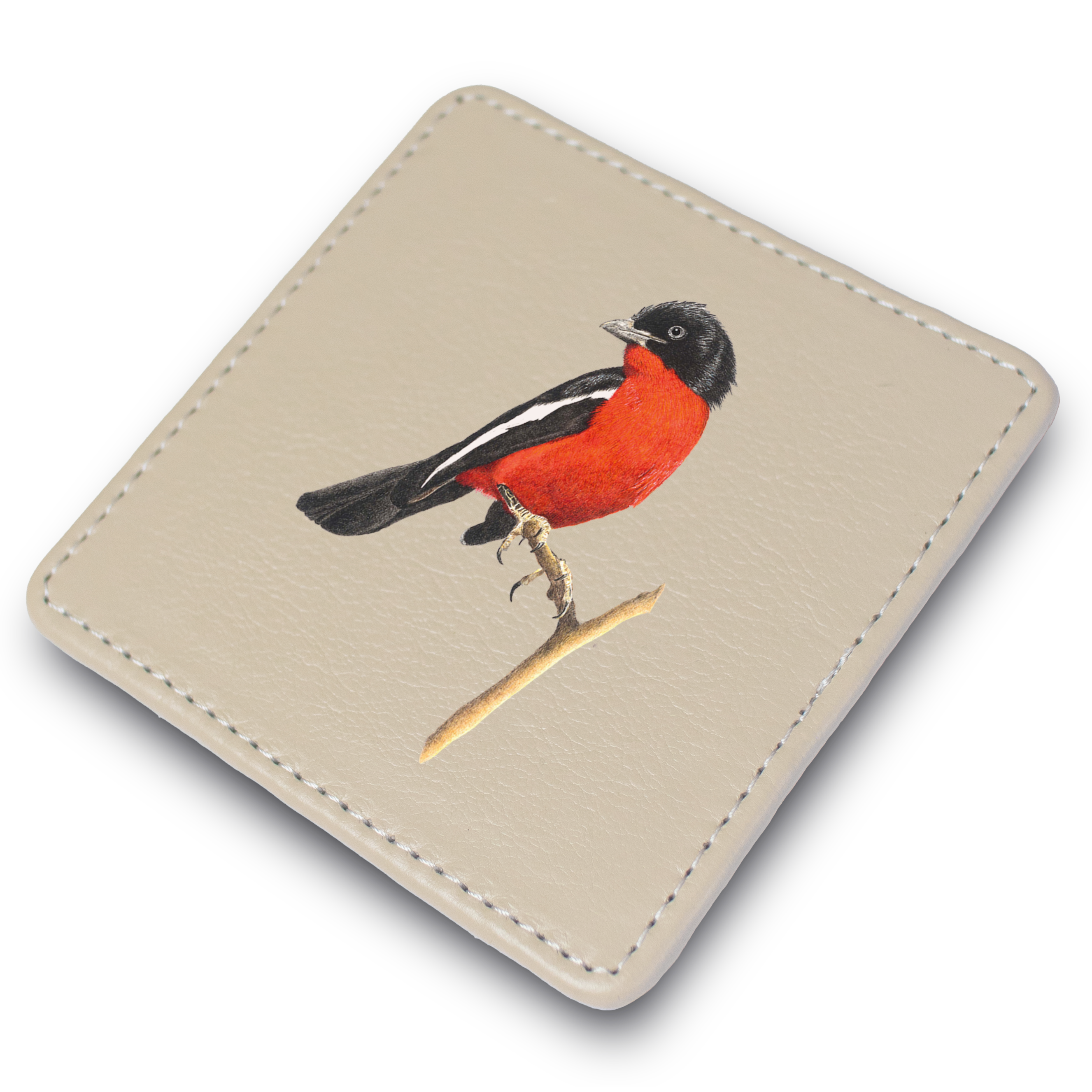 Crimson Breasted Shrike Leather Coaster