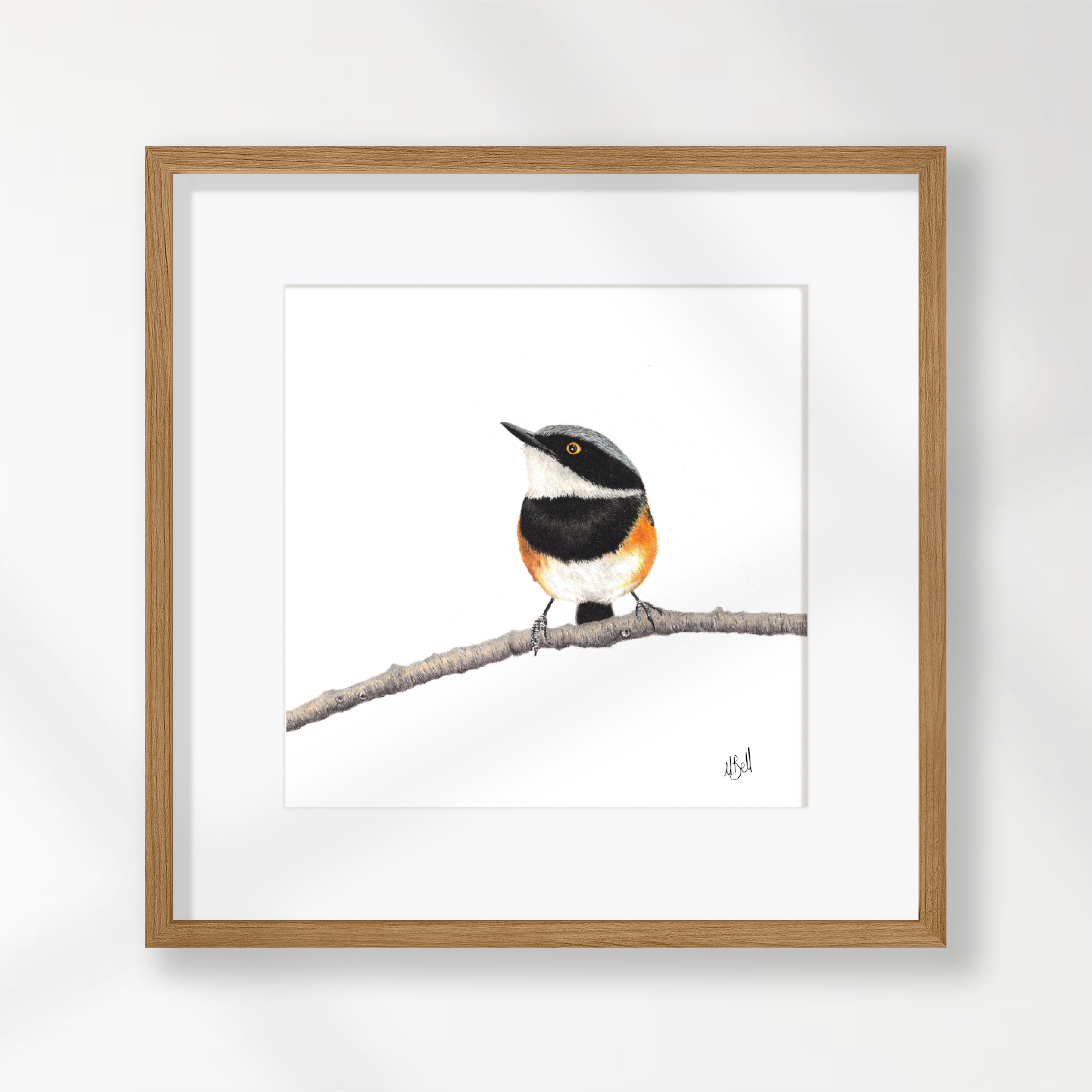 Cape Batis - CBT