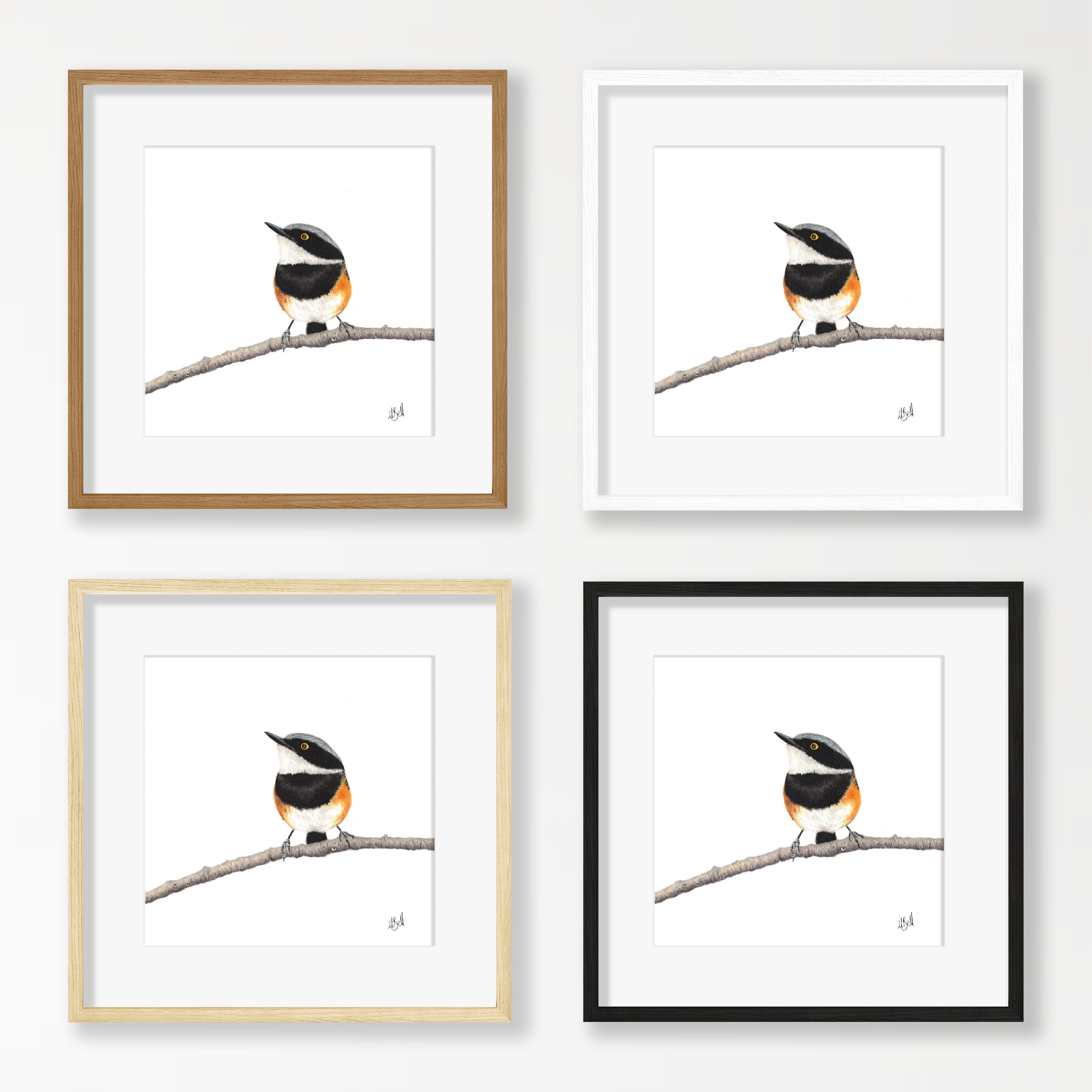 Cape Batis - CBT
