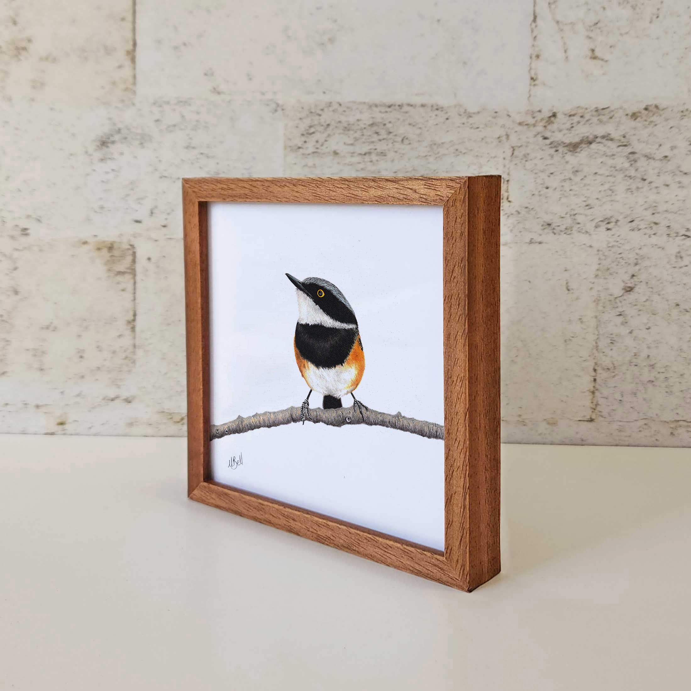 Kiaat wood framed miniature artwork of a Cape Batis, part of wildlife artist Matthew Bell's birds of South Africa gallery