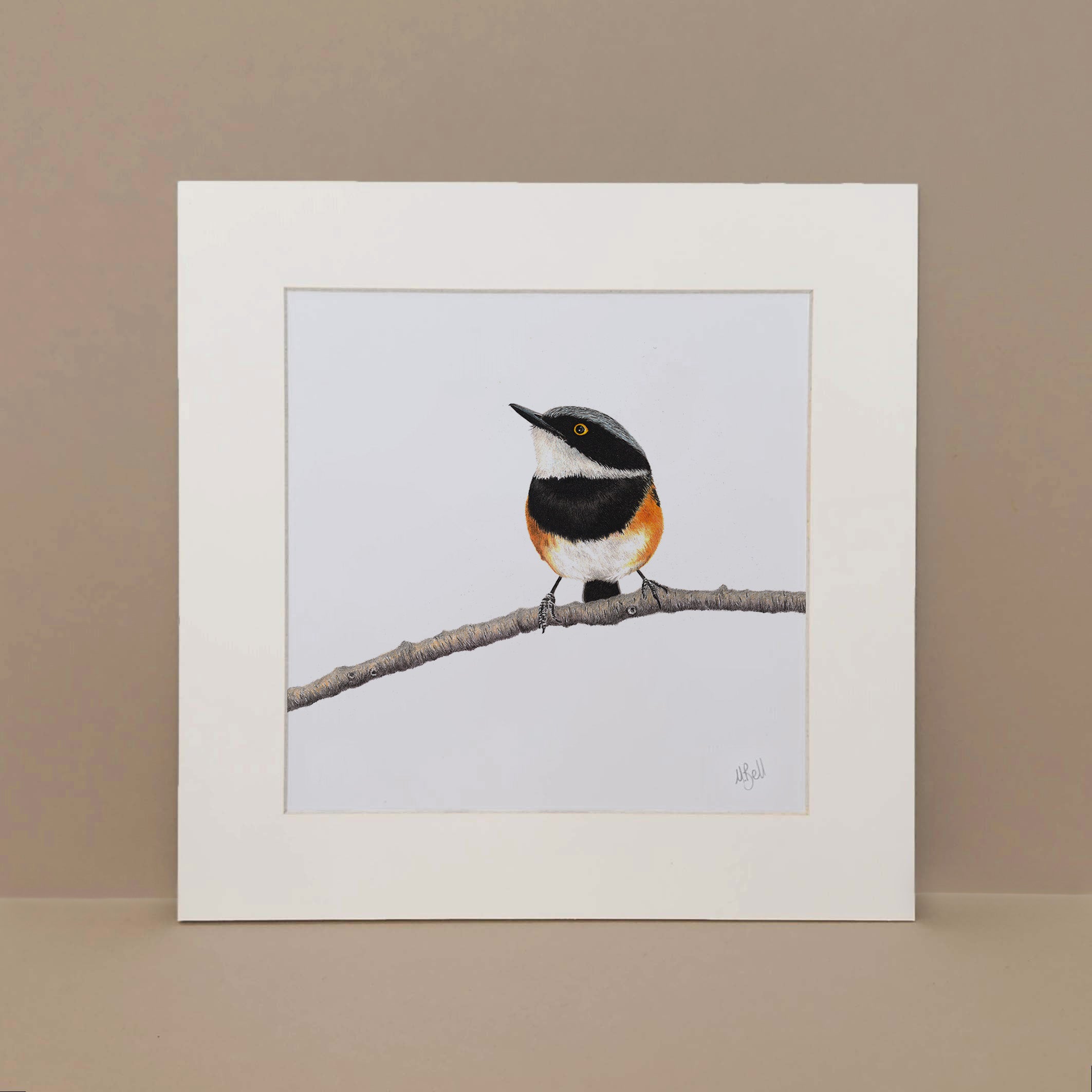 Cape Batis pencil drawing print