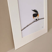 Cape Batis pencil drawing print