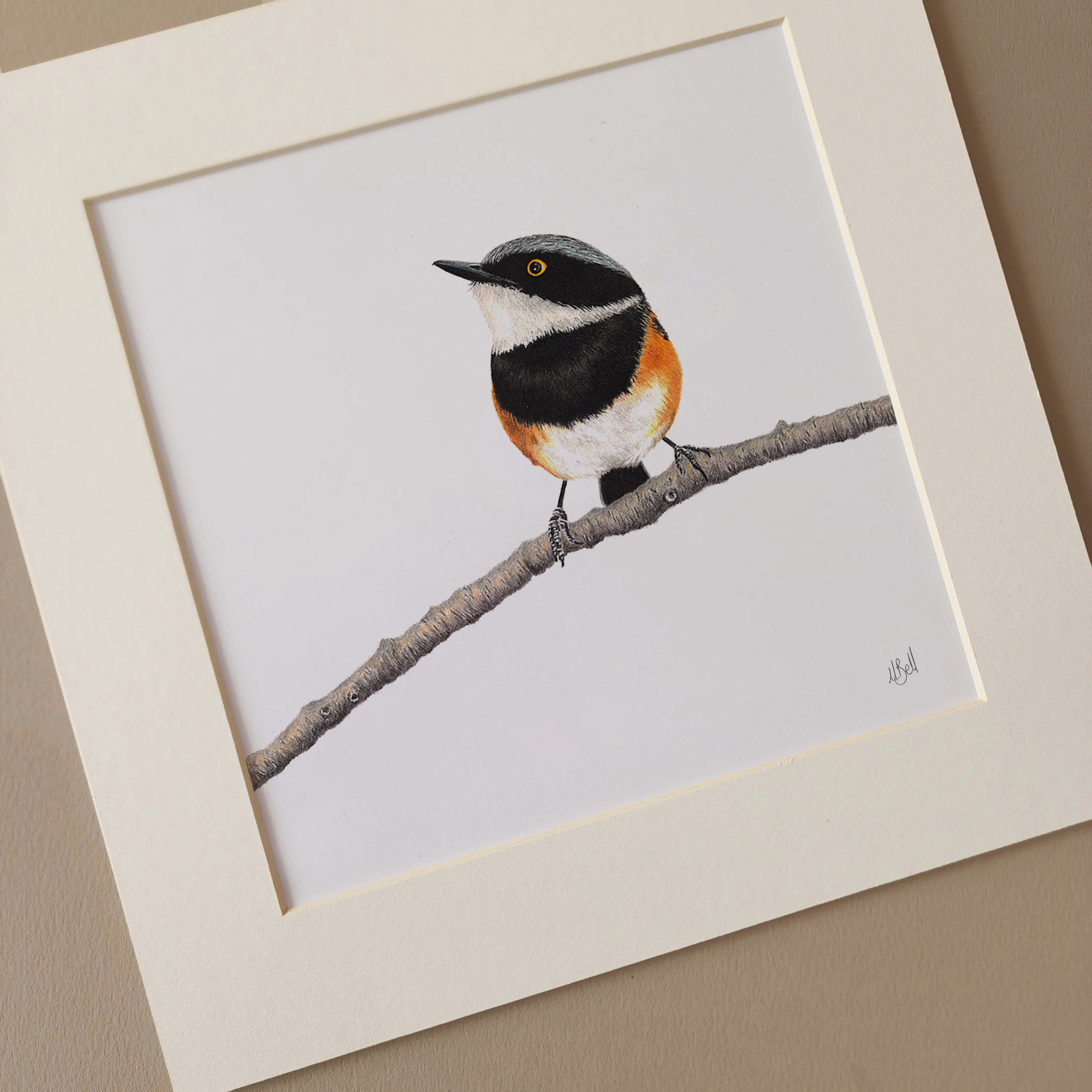 Cape Batis pencil drawing print