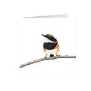 Cape Batis Greeting Card - CBT
