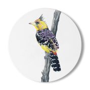 Crested Barbet Wooden Coaster - CB