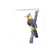 Crested Barbet Greeting Card - CB