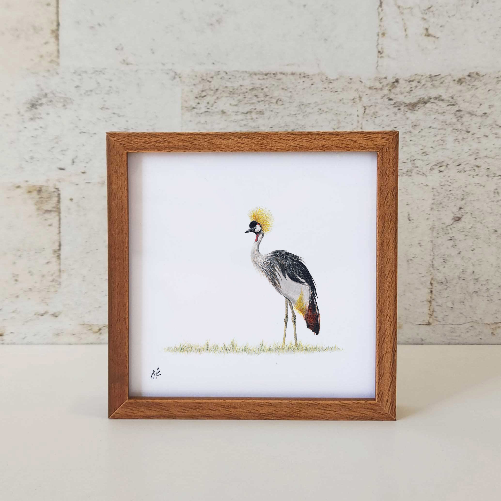 Kiaat wood framed miniature artwork of a Crowned Crane, part of wildlife artist Matthew Bell's birds of South Africa gallery