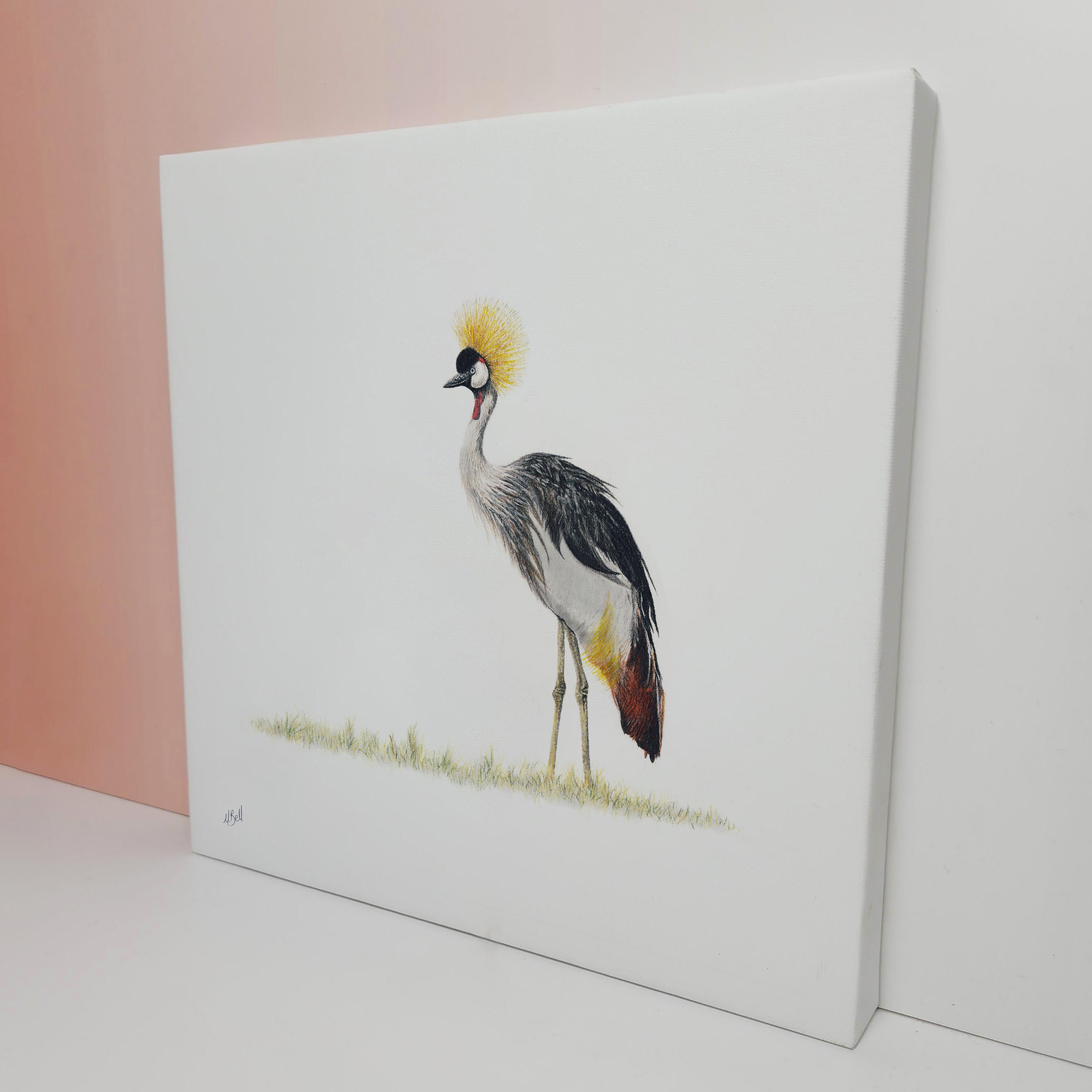 South African bird artwork on canvas, stretched on wooden frame by wildlife artist Matthew Bell of a Crowned Crane in the Okavango Delta in Botswana