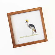 Kiaat wood framed miniature artwork of a Crowned Crane, part of wildlife artist Matthew Bell's birds of South Africa gallery