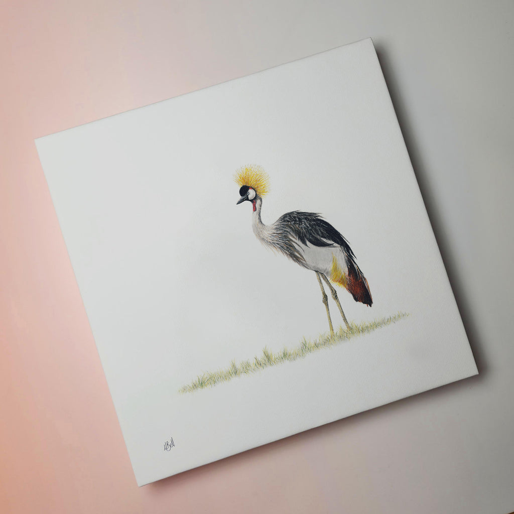 South African bird artwork on canvas, stretched on wooden frame by wildlife artist Matthew Bell of a Crowned Crane in the Okavango Delta in Botswana