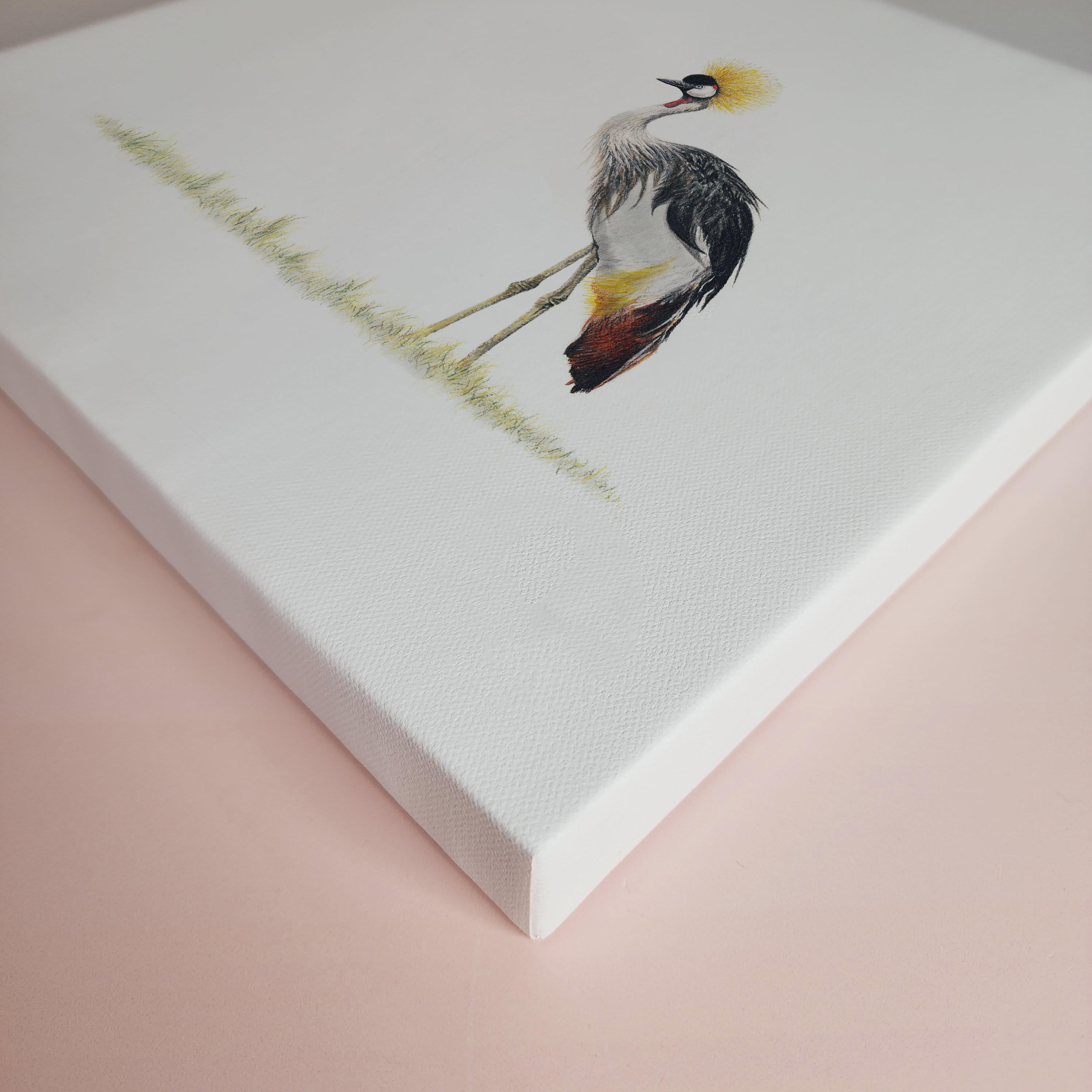 South African bird artwork on canvas, stretched on wooden frame by wildlife artist Matthew Bell of a Crowned Crane in the Okavango Delta in Botswana