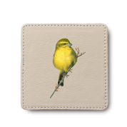 Cape Canary Bird leather coaster by South African wildlife artist Matthew Bell