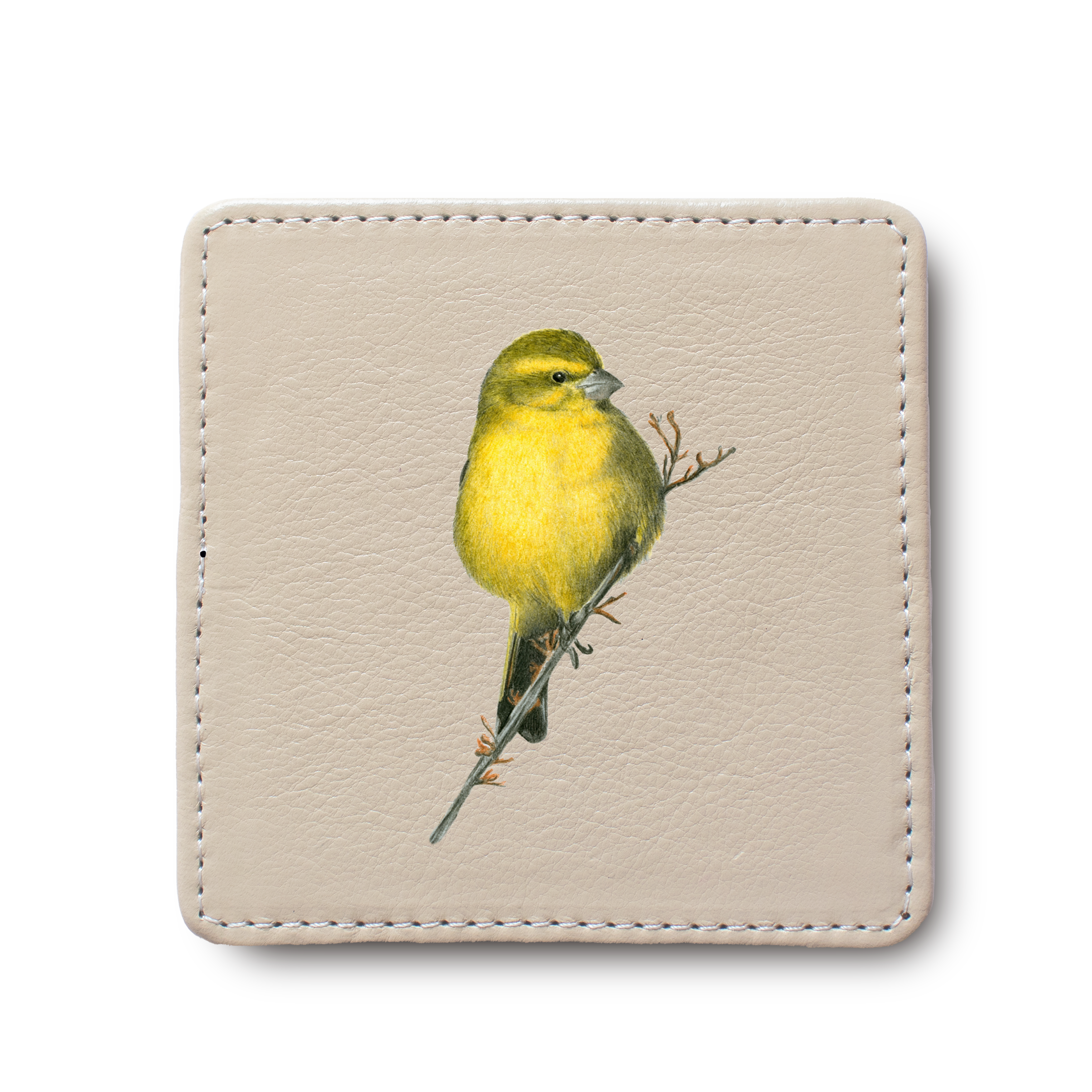 Cape Canary Bird leather coaster by South African wildlife artist Matthew Bell