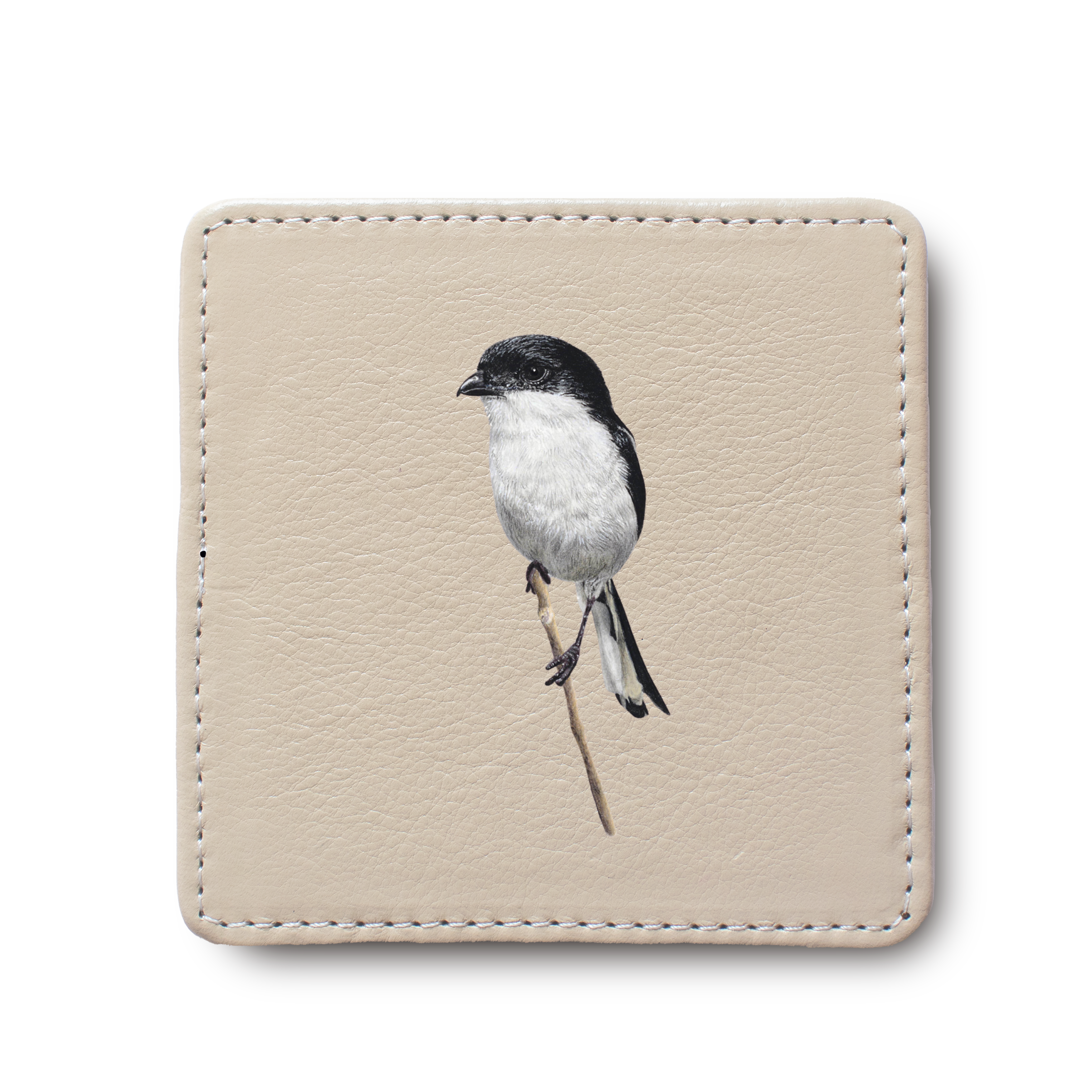 Common Fiscal Bird leather coaster by South African wildlife artist Matthew Bell