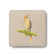 Cape Grassbird Bird leather coaster by South African wildlife artist Matthew Bell