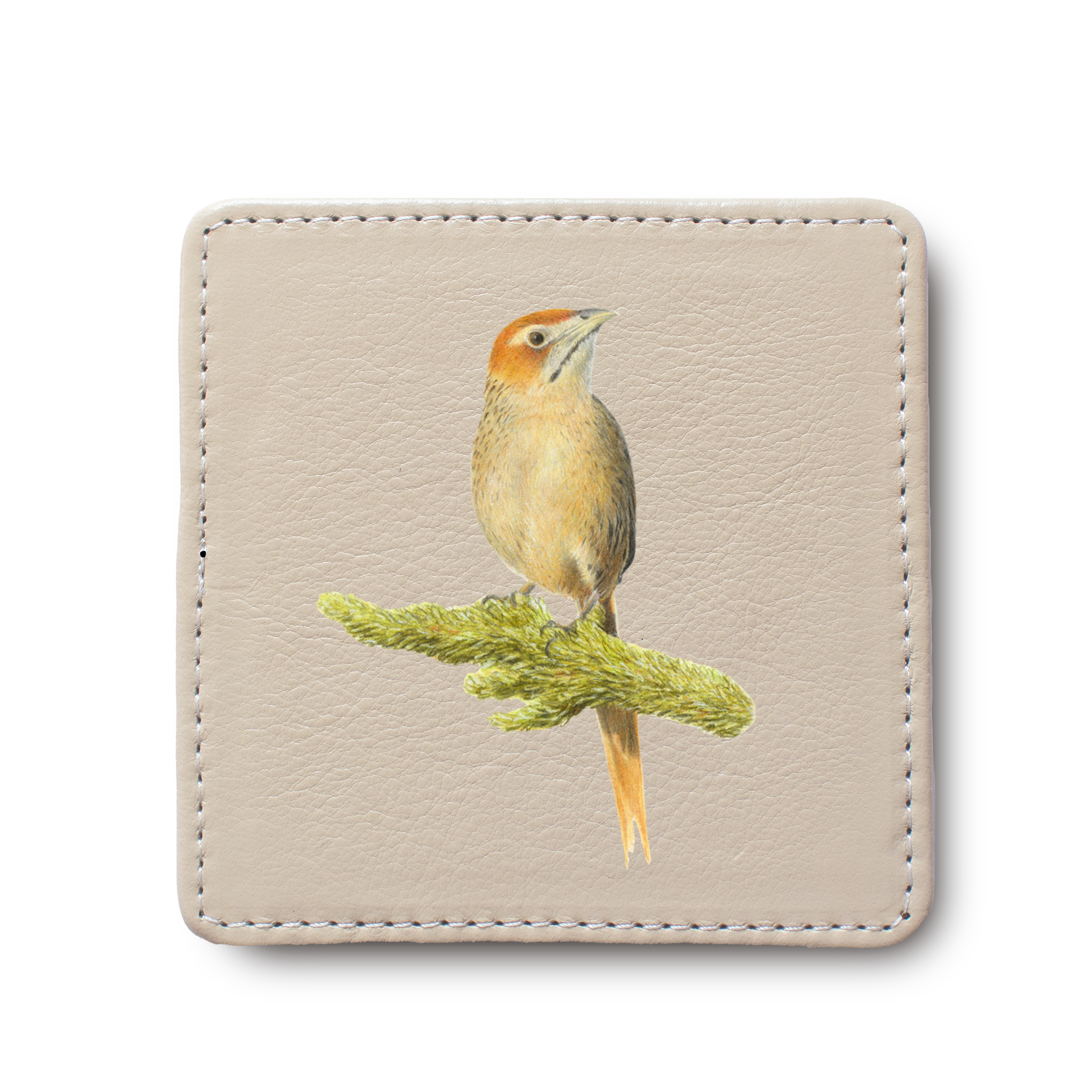 Cape Grassbird Bird leather coaster by South African wildlife artist Matthew Bell