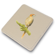 Cape Grassbird Leather Coaster