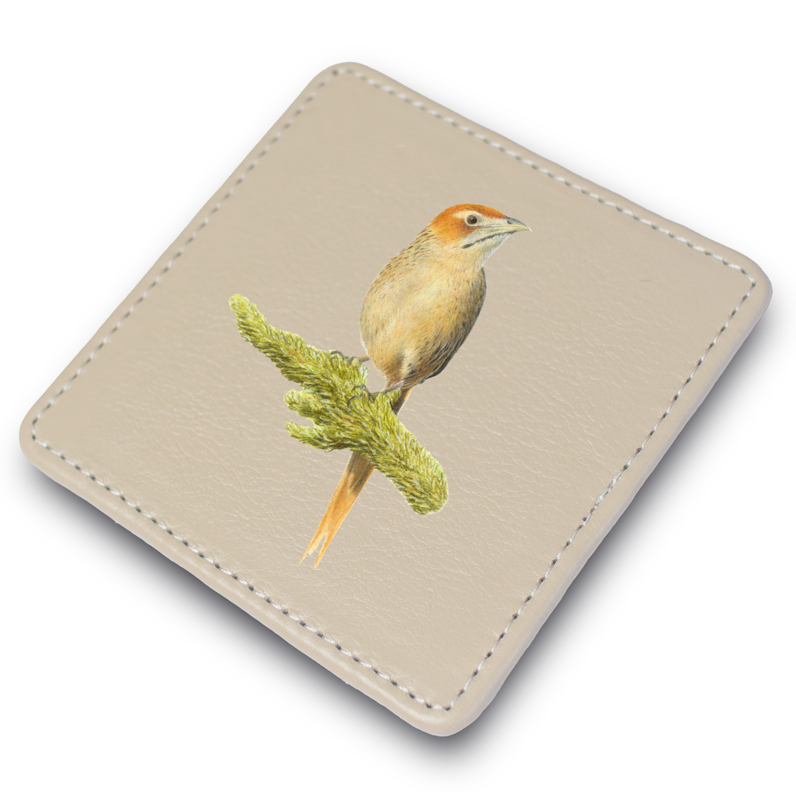 Cape Grassbird Leather Coaster