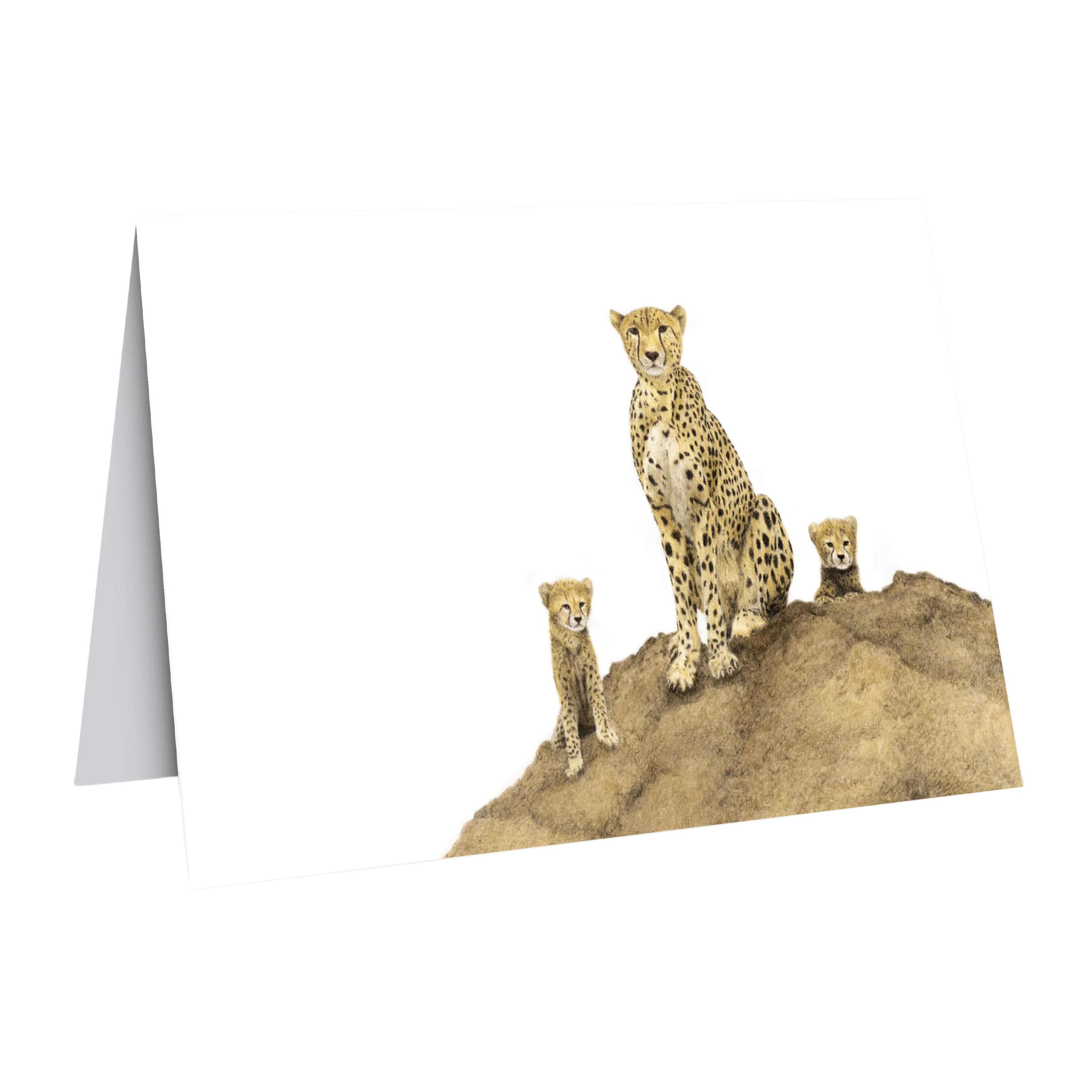 Cheetah Mother and Cubs greeting card