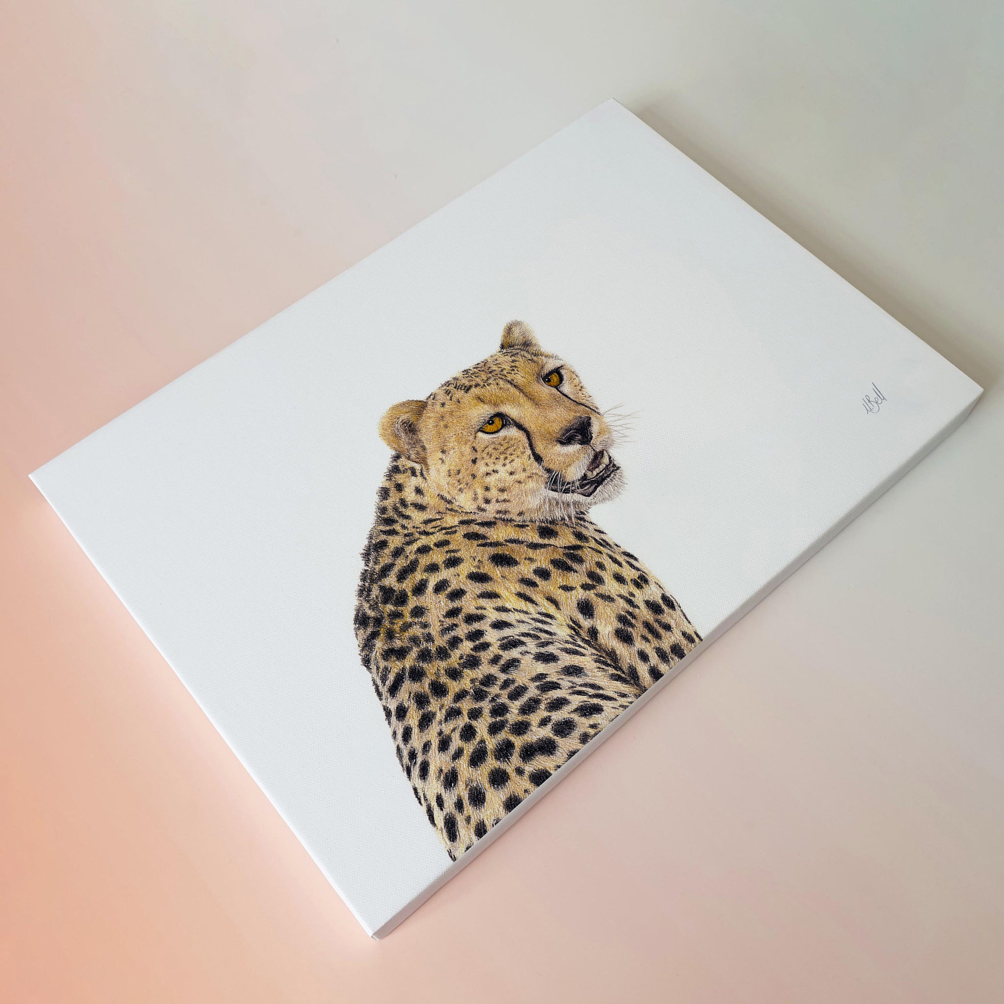 Cheetah in the Kalahari pencil artwork on canvas by Matthew Bell