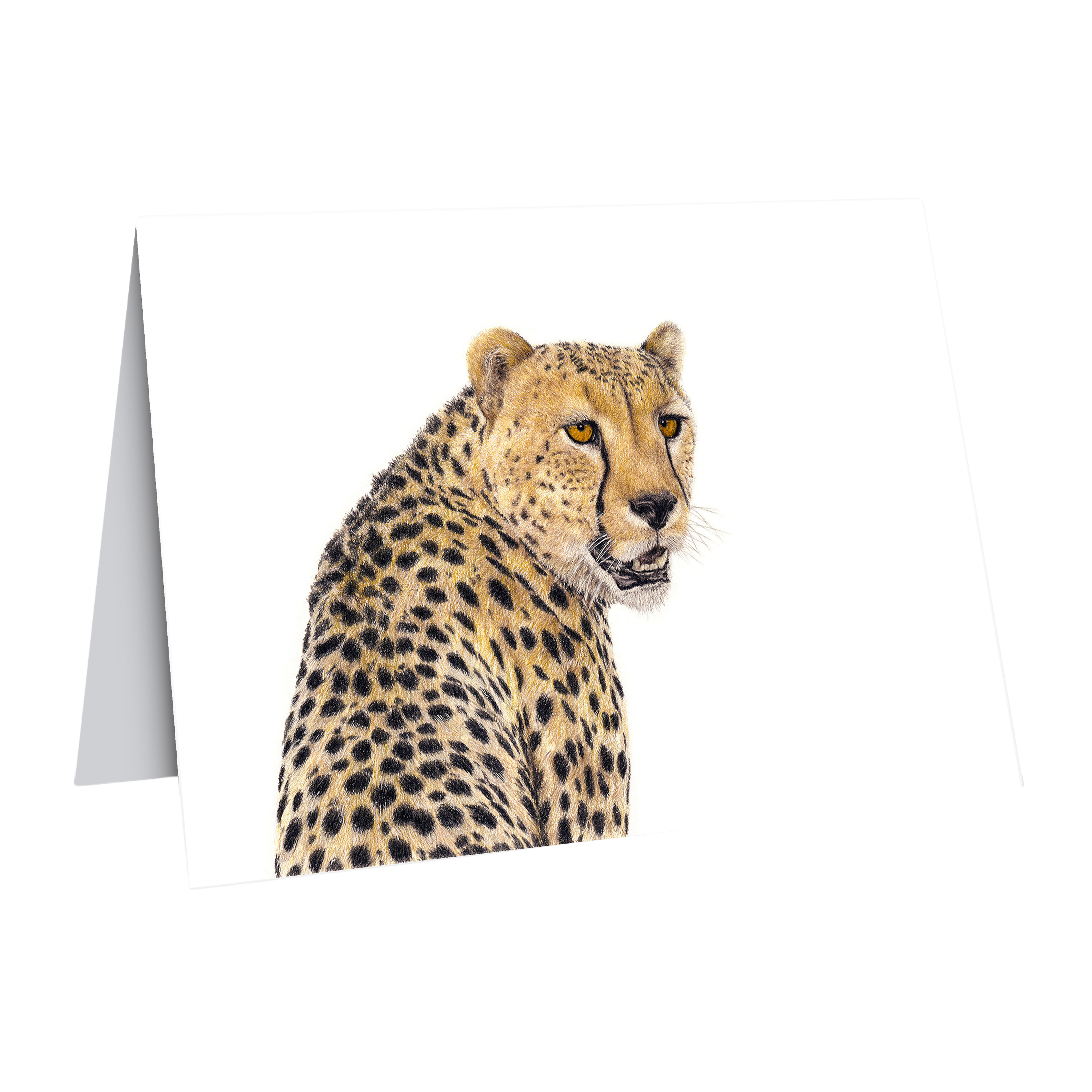 Cheetah portrait greeting card