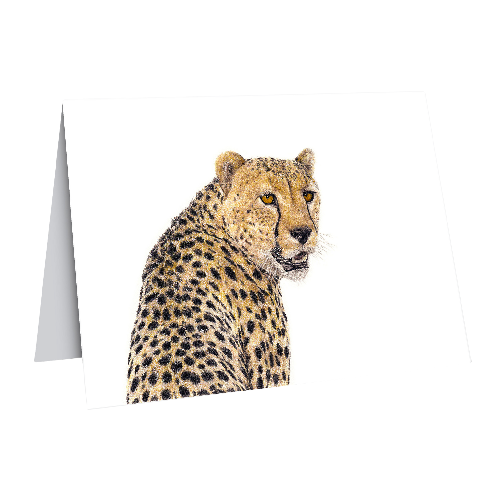 Cheetah portrait greeting card