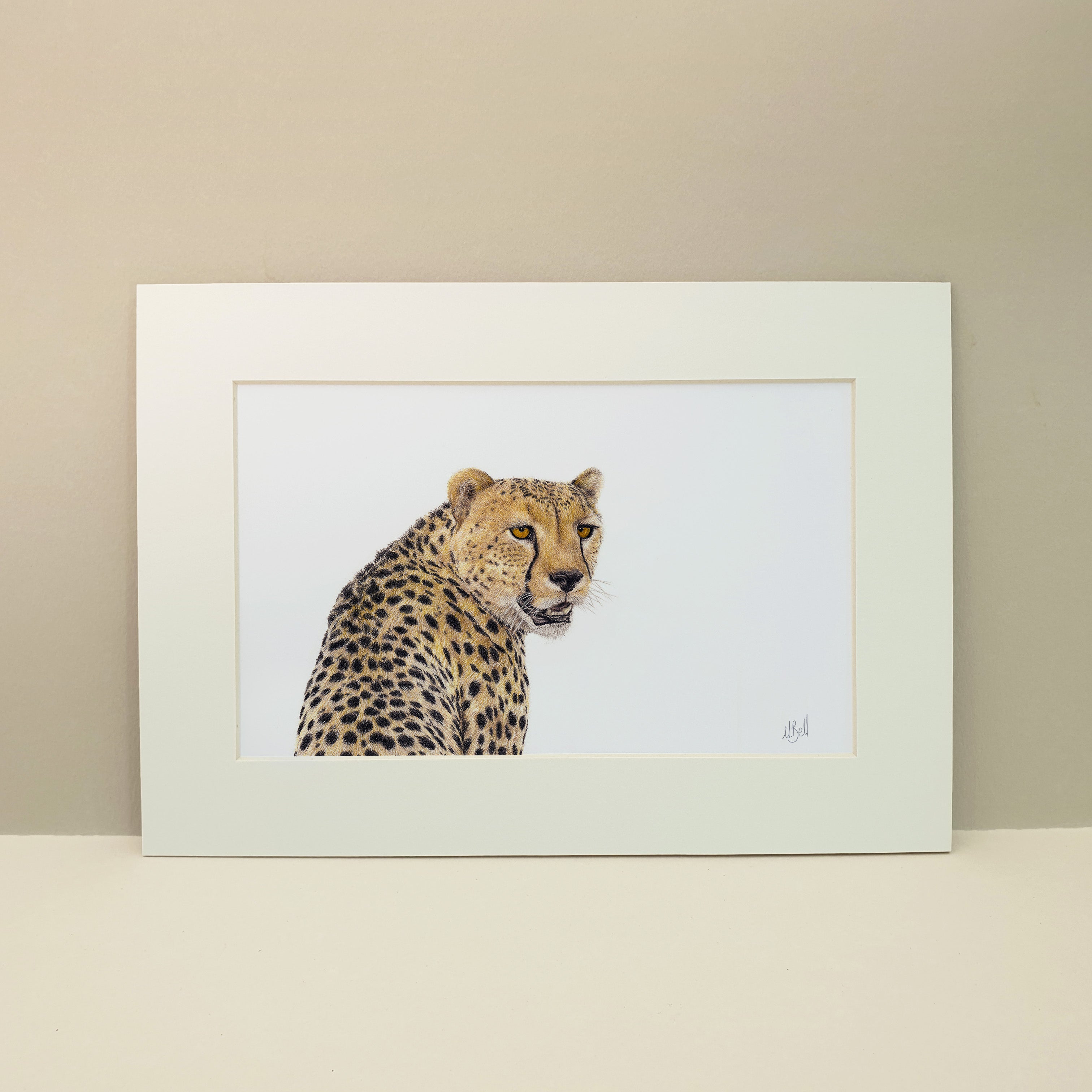 Cheetah portrait pencil artist