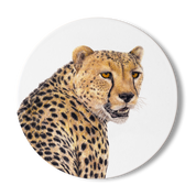 Cheetah Wooden Coaster - CHT1