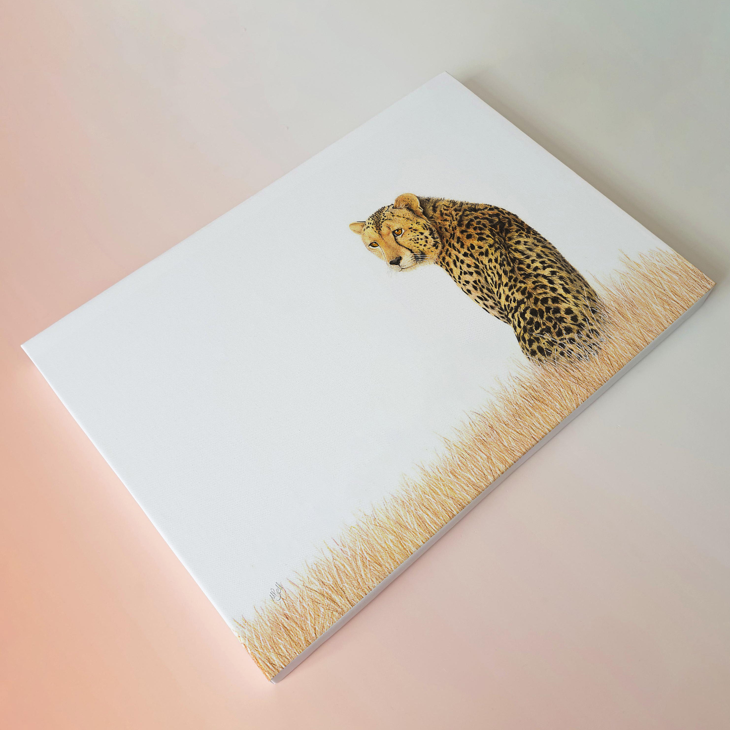 Cheetah in the savanna wildlife art canvas print