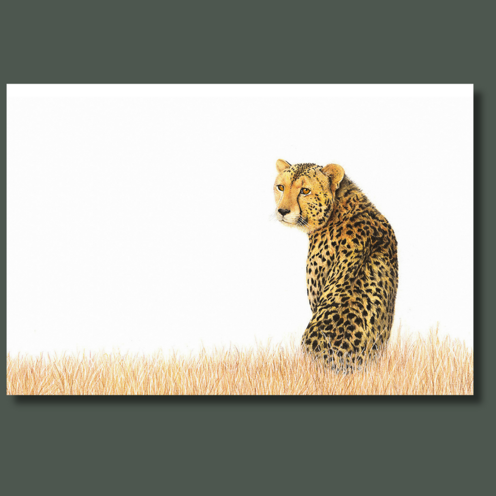 Cheetah in the savanna wildlife art canvas print