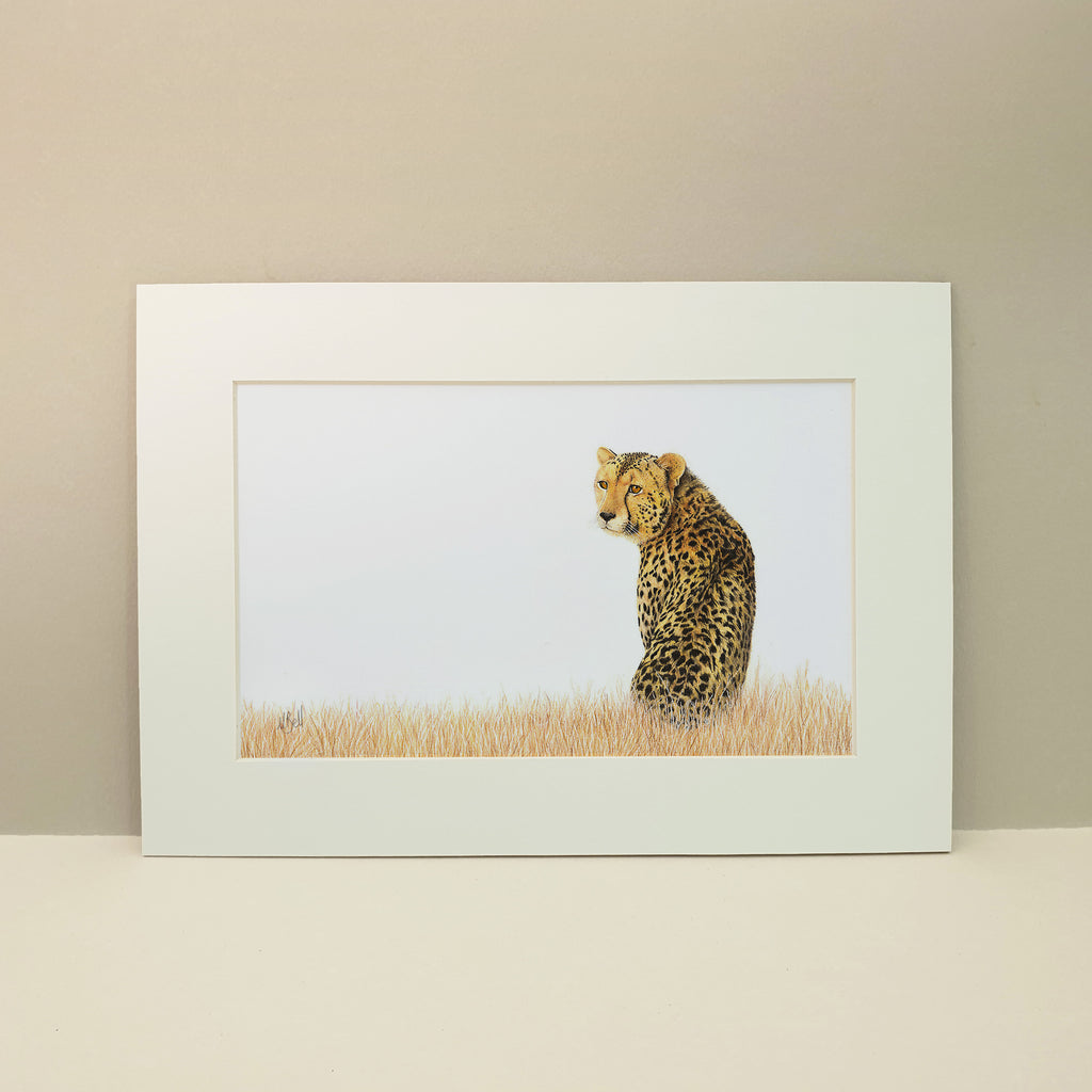 Cheetah in the savanna