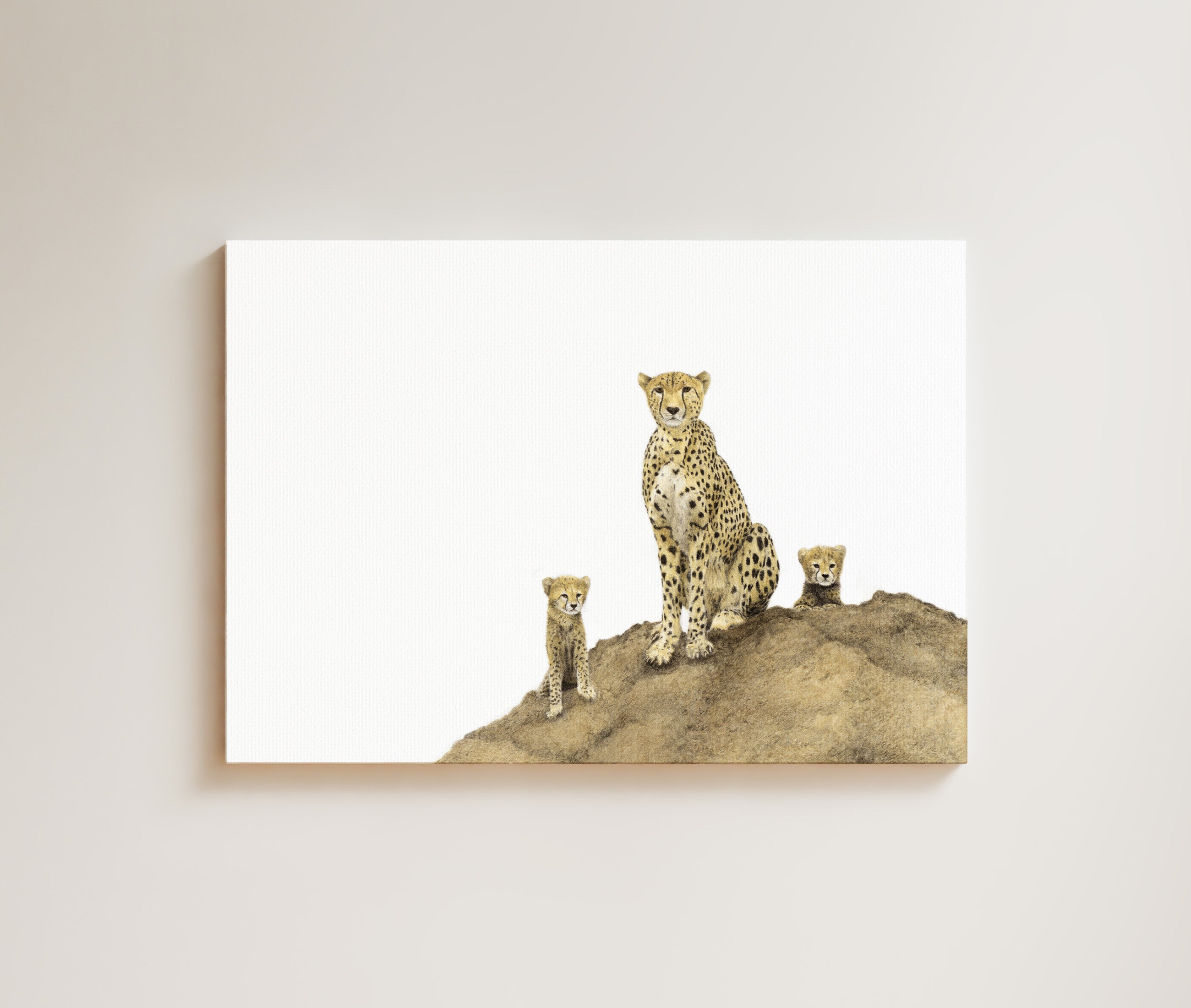 Cheetah with Cubs drawing on canvas by South African wildlife artist Matthew Bell