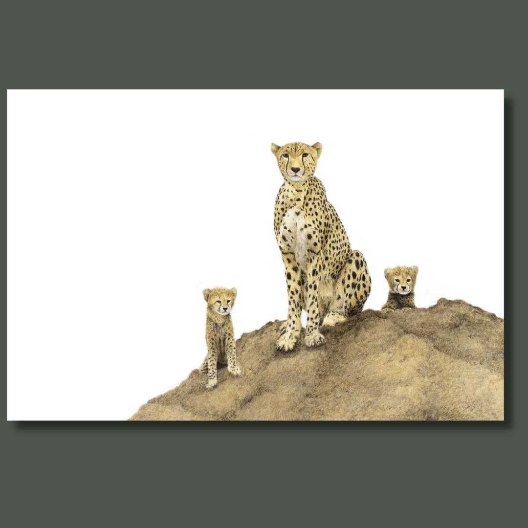 Cheetah mother with cubs in the Serengeti Tanzania canvas art print