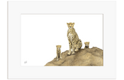 Cheetah Mother and Cubs - CHT4