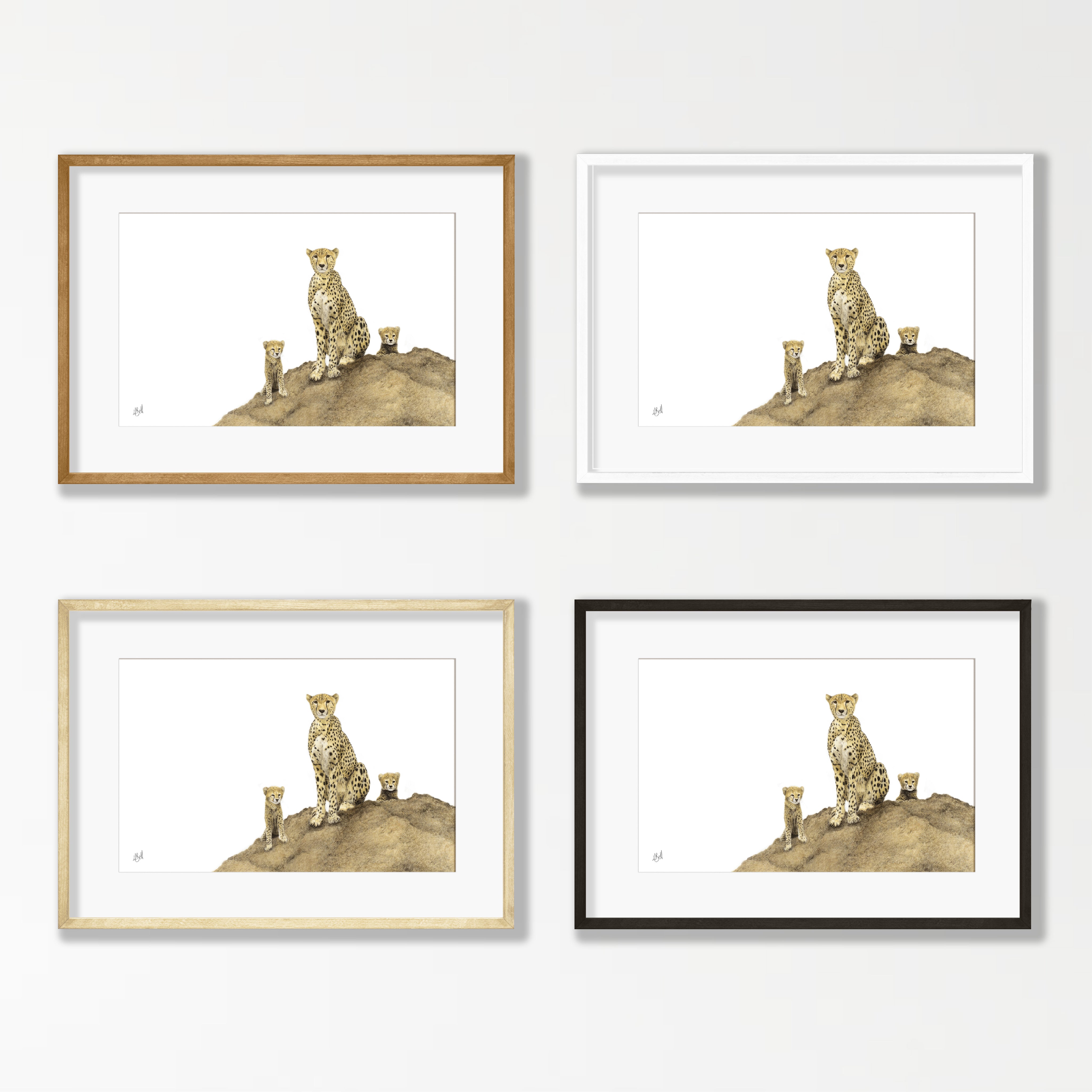 Cheetah Mother and Cubs - CHT4