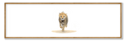 Cheetah Cub Panorama