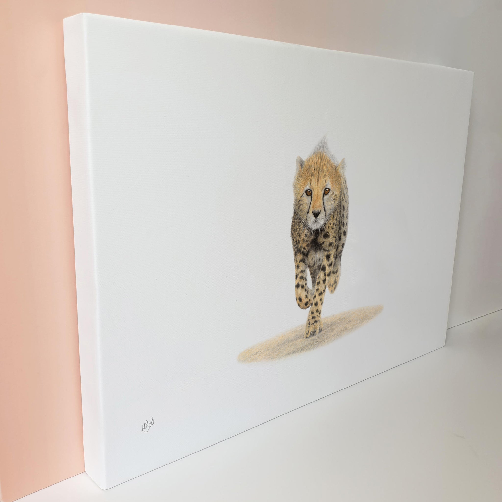 Running Cheetah cub on canvas wildlife art print